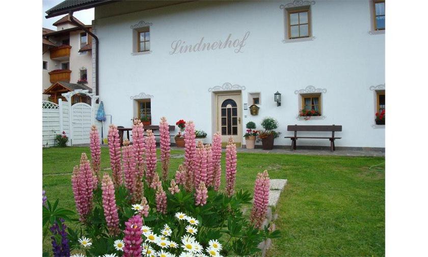 Hotel Lindnerhof Urlaub Am Bauernhof San Lorenzo di Sebato Esterno foto
